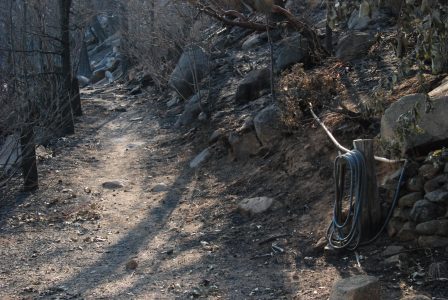 Image of a rocky path lined with charred trees and posts