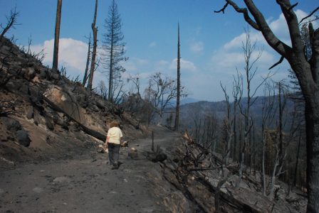 Image of road across a steep slope of burned landscape