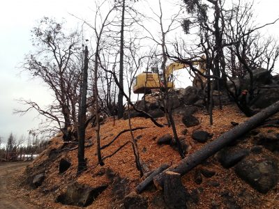 Image of an excavator at the top of a small wooded hill