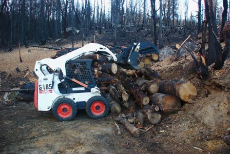 Image of the Bobcat placing 3 large logs onto the top of a pile of large logs