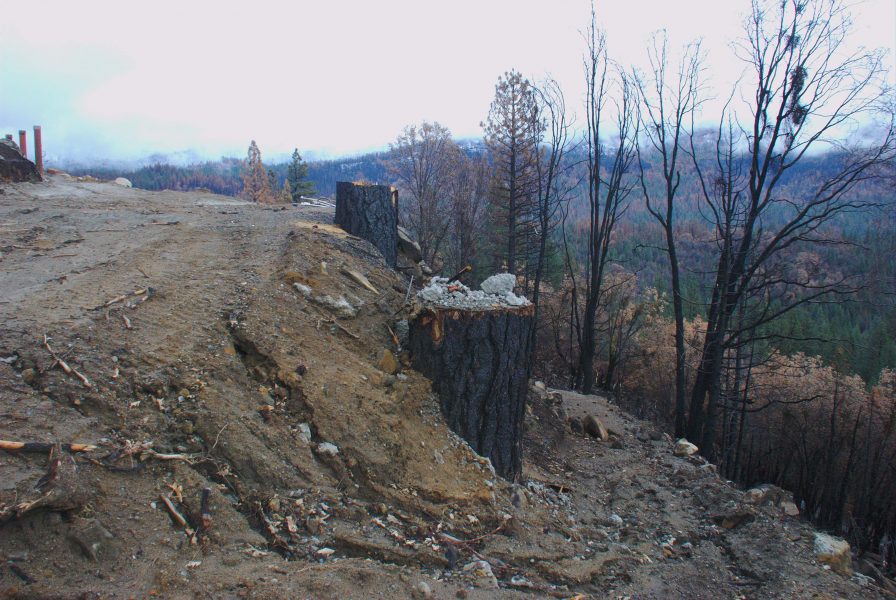 Image of a muddy hillside with deep erosion channels