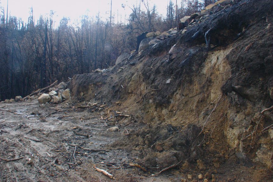 Image of a muddy hilside with a small pile of dirt and rocks in the foreground