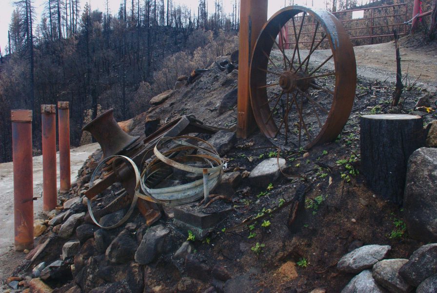 Image of the burned-out entrance area covered with small green plants