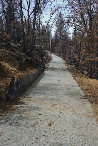 Image of the steep driveway looking very normal