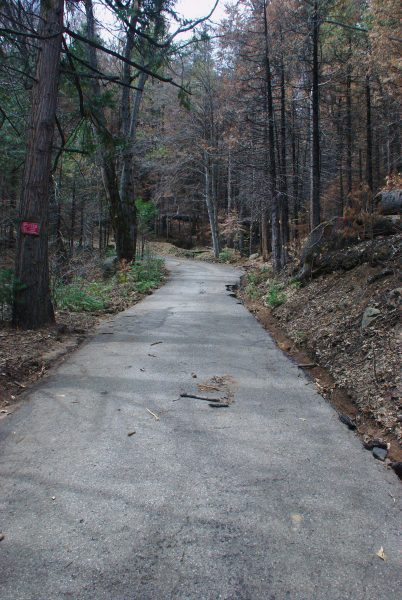 Image of the same driveway, no longer covered with whitewater