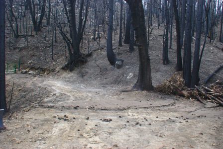 Image of a road with evidence of mud flows across it
