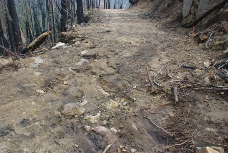 Image of shallow erosion channels across the fire road