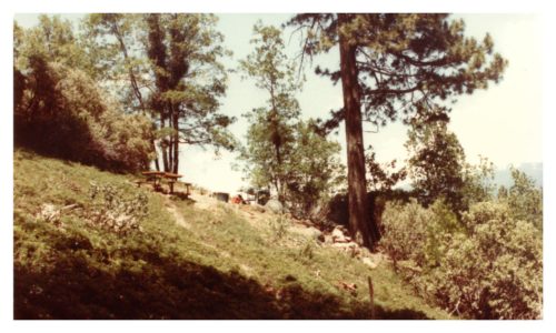 Image of steep hillside with picnic table, trees and brush