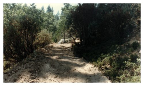 Image of a fresh-cut, rough dirt road